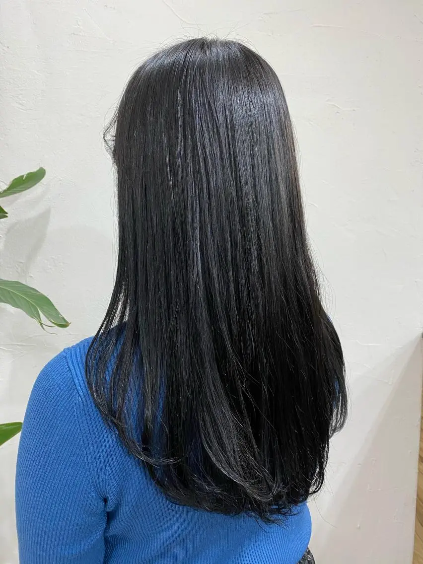 セミロング カラー ヘアアレンジ 黒髪 ブルーカラー ブルーブラック 透明感カラー 暗髪カラー🫐 おくだりんかのヘアスタイル