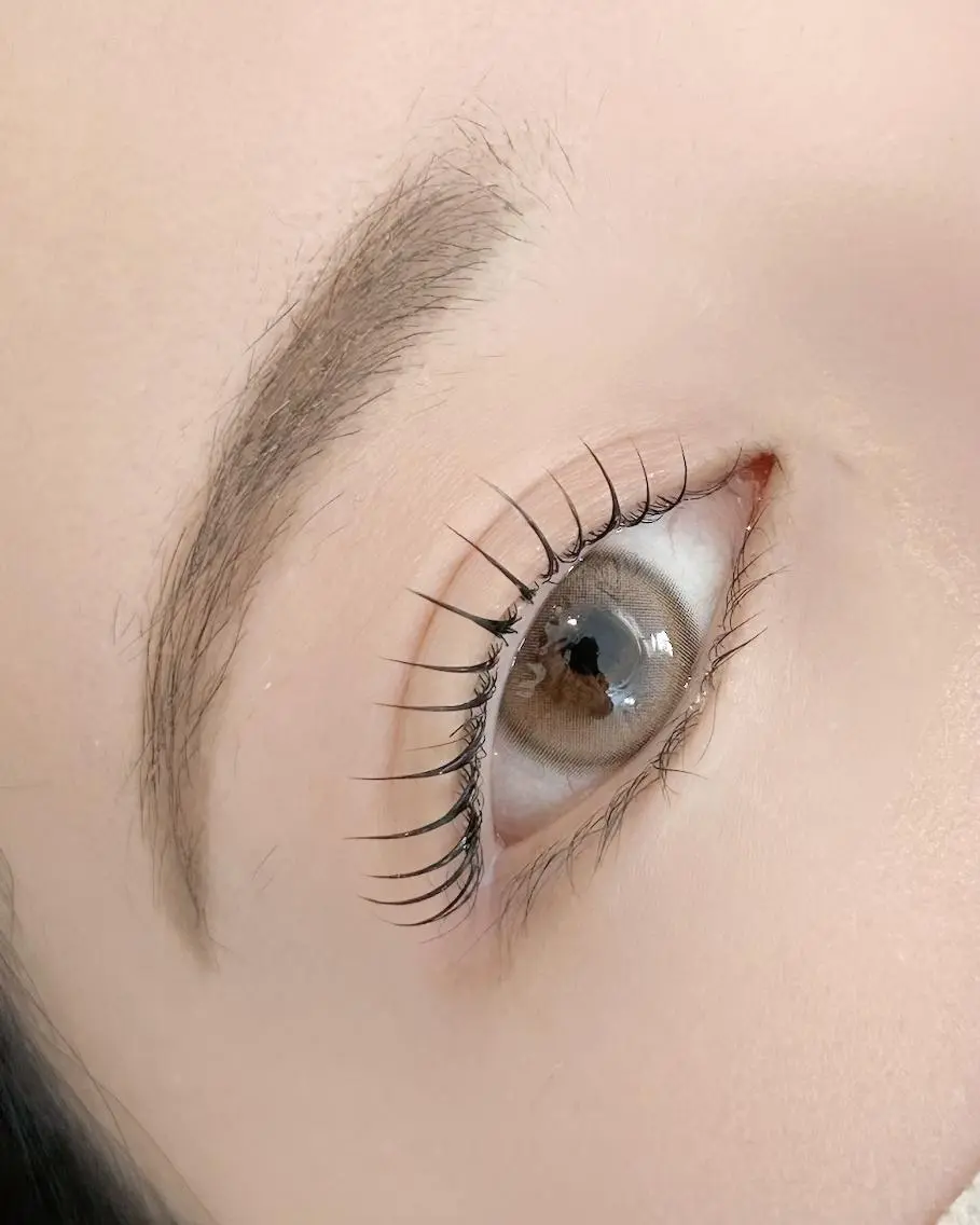 マツエク・マツパ マツパ lieu pré eyelashの眉毛・アイブロウイメージ
