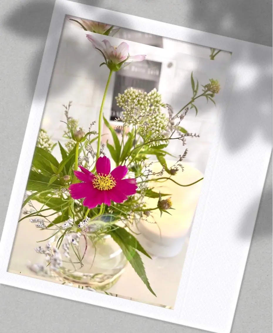 kokorobi ＊のマツエク・マツパデザイン