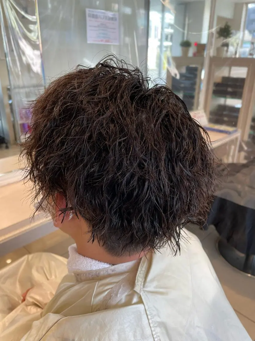 ショート メンズ 白髪ぼかしデザイン ハイライト/宮本純登のヘアスタイル