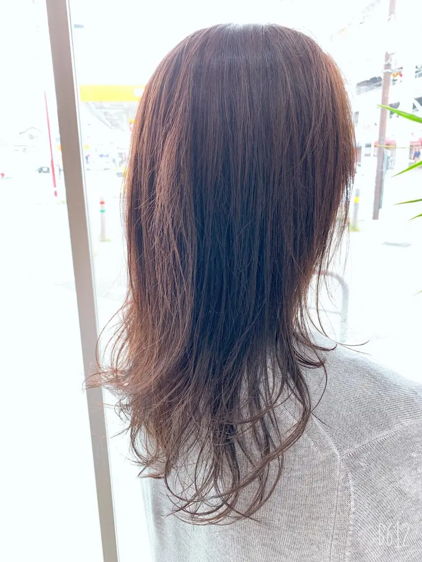 セミロング カラー 白髪ぼかしハイライト 柳川拓哉のヘアスタイル