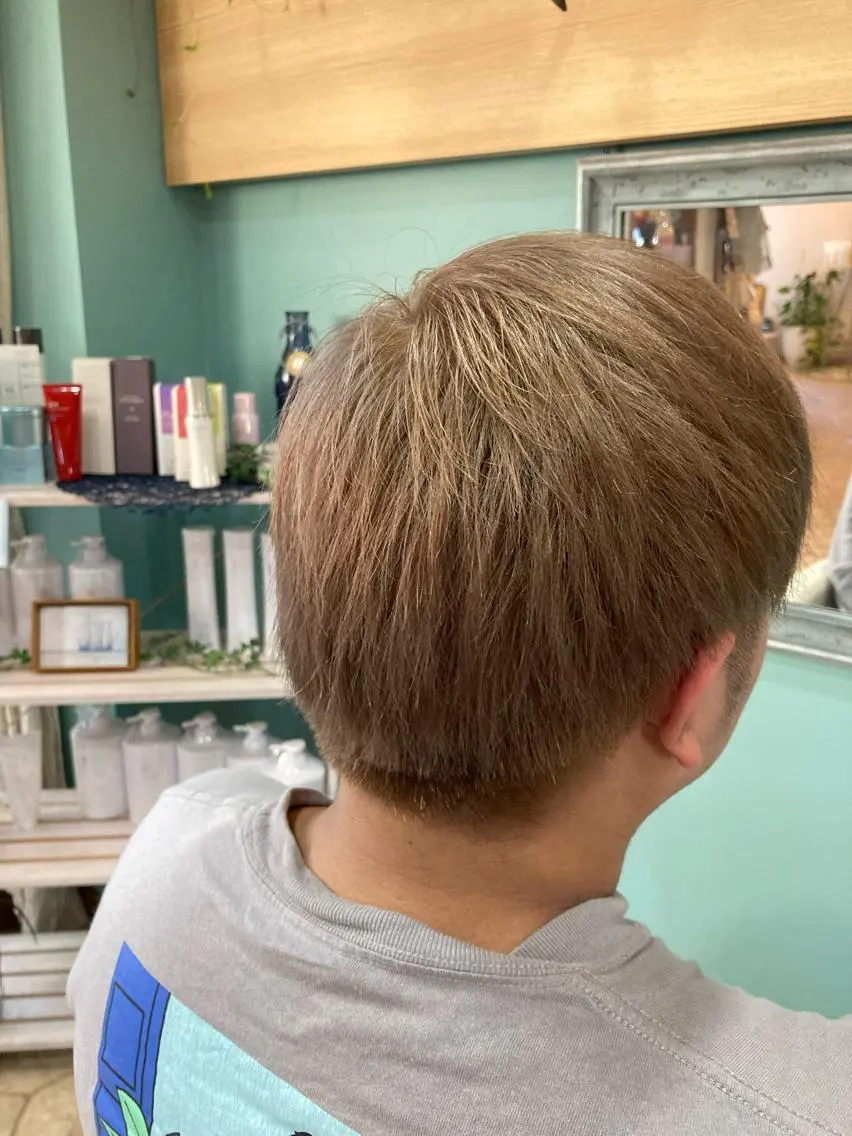 ショート カラー 谷川 穂のヘアスタイル