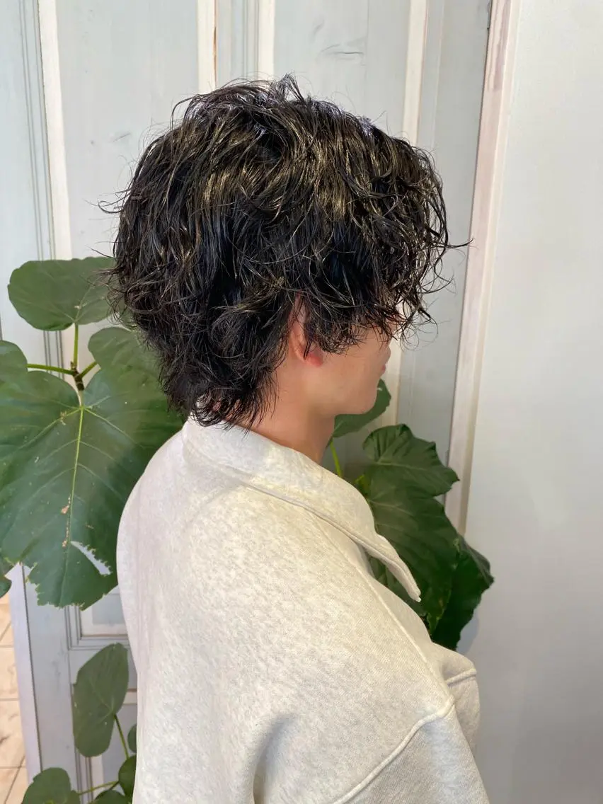 パーマ メンズ カット パーマ トリートメント さこだ しょうた 【副店長】のヘアスタイル