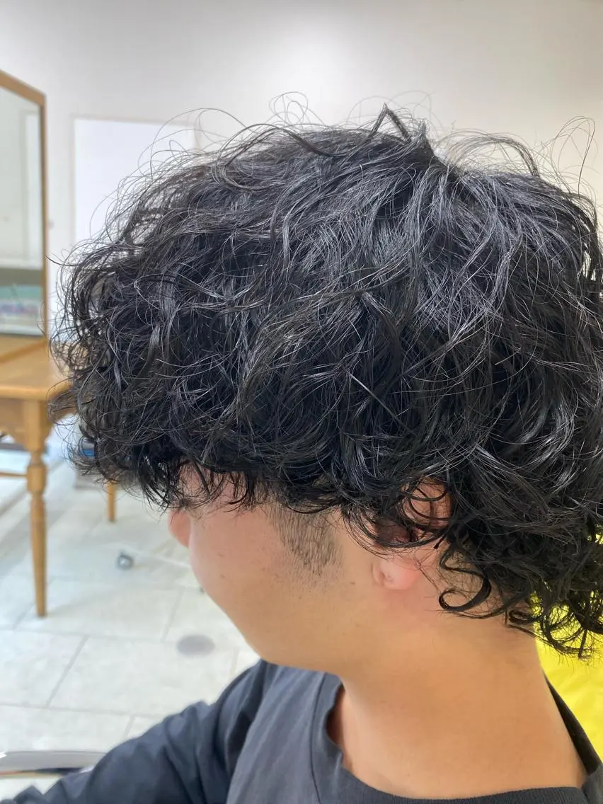 パーマ メンズ メンズパーマ メンズウルフカット ウルフカット 長谷川 誠志のヘアスタイル