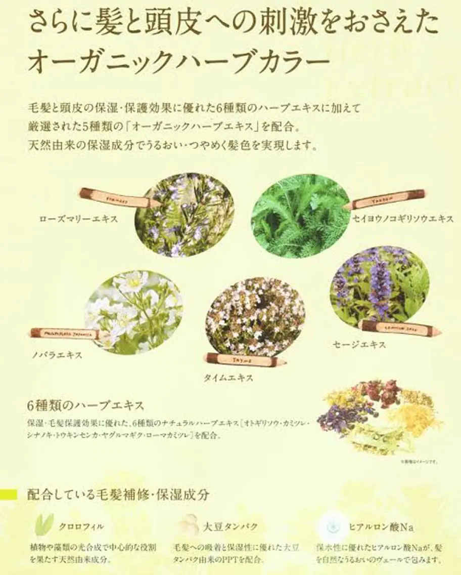 反橋 聖のヘアスタイル