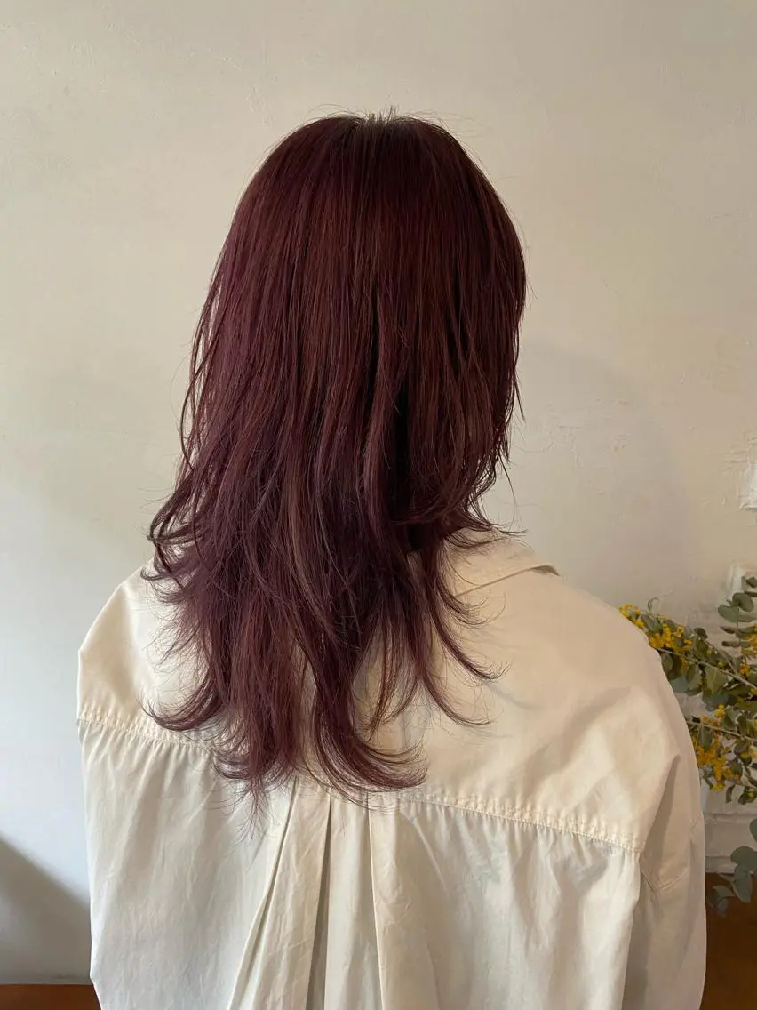 セミロング カラー ブリーチ カシス 🧸メンズカット 🧸conatsuのヘアスタイル