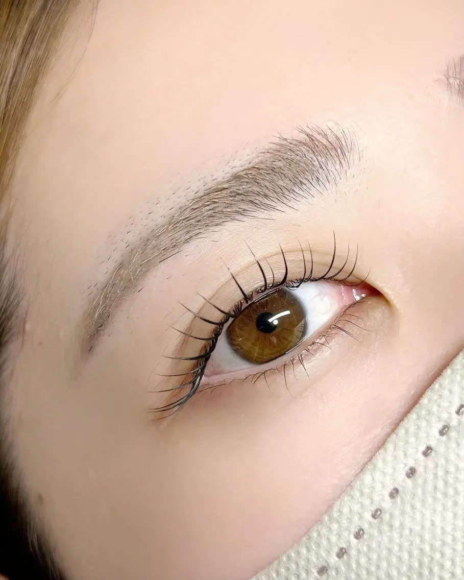 マツエク・マツパ マツパ lieu pré eyelashの眉毛・アイブロウイメージ