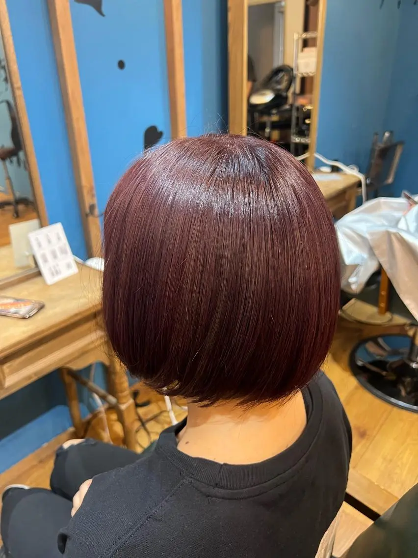 ショート ショートボブ ボブ ショートヘア 須永 優希のヘアスタイル