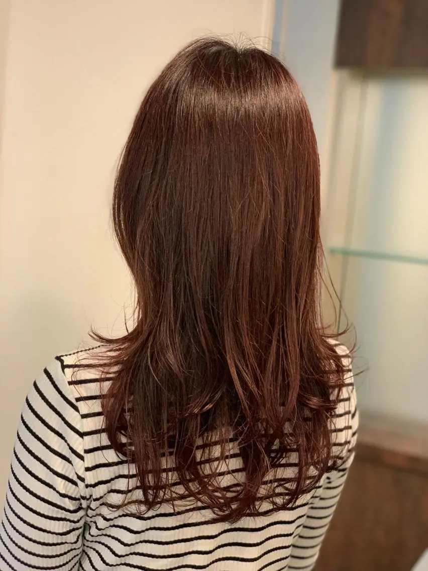 ミディアム カラー ボルドーカラー WISTERIA P LUS1 ikumiのヘアスタイル