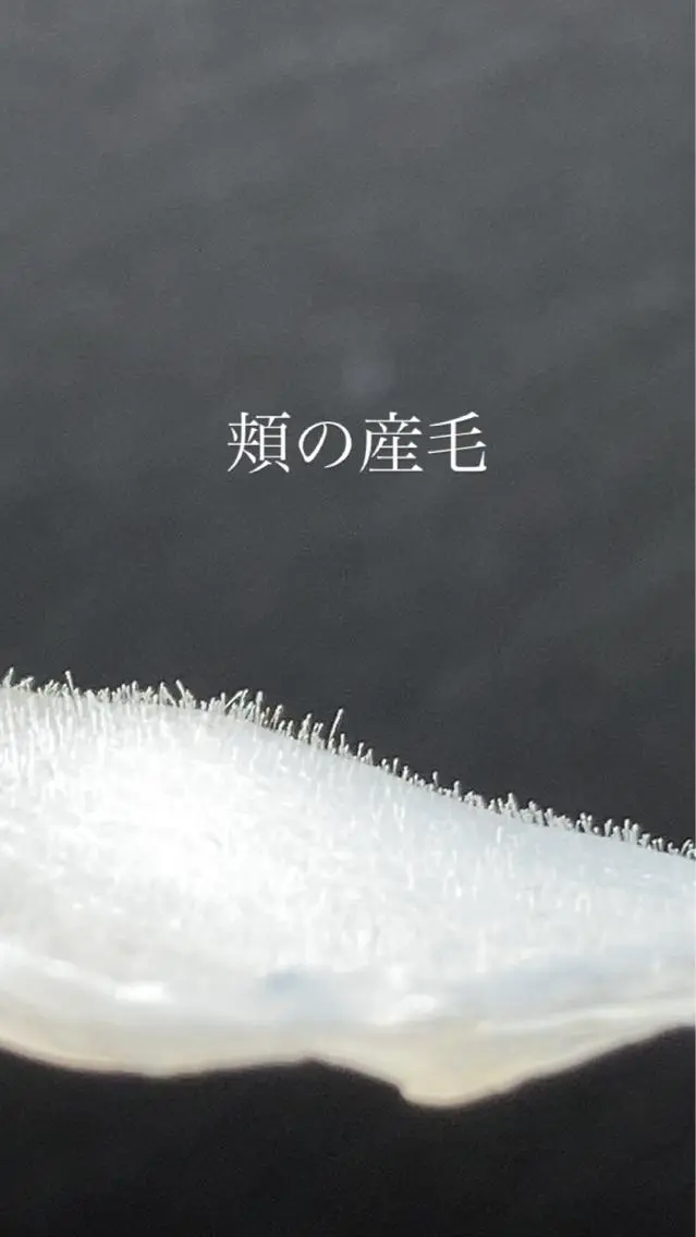 アイブロウ 【薬院】まつげ 眉毛のマツエク・マツパデザイン