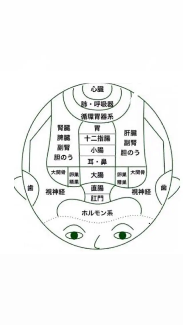 ヘッドスパ i'llbe イルビーのエステ・リラクイメージ