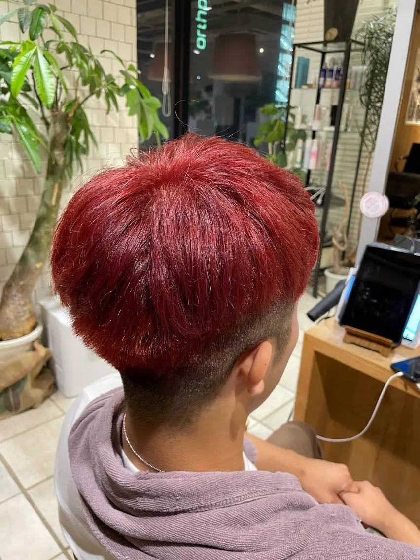 ショート カラー ブリーチ カシス レッドカラー 萩原 琳之祐のヘアスタイル