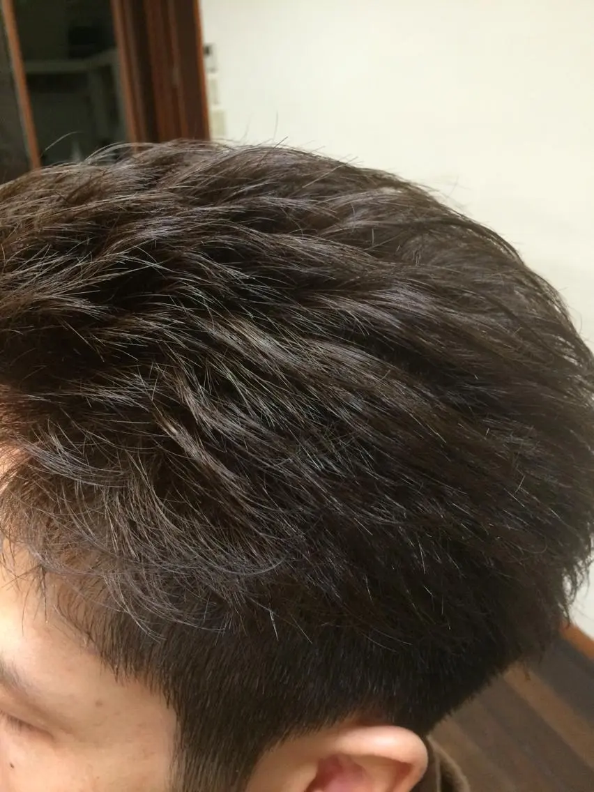 カラー 向井 優汰のヘアスタイル