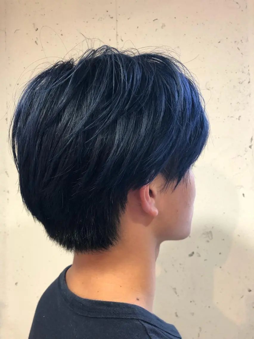 ショート カラー メンズ ブルーカラー ネイビーカラー 田中 貴大のヘアスタイル