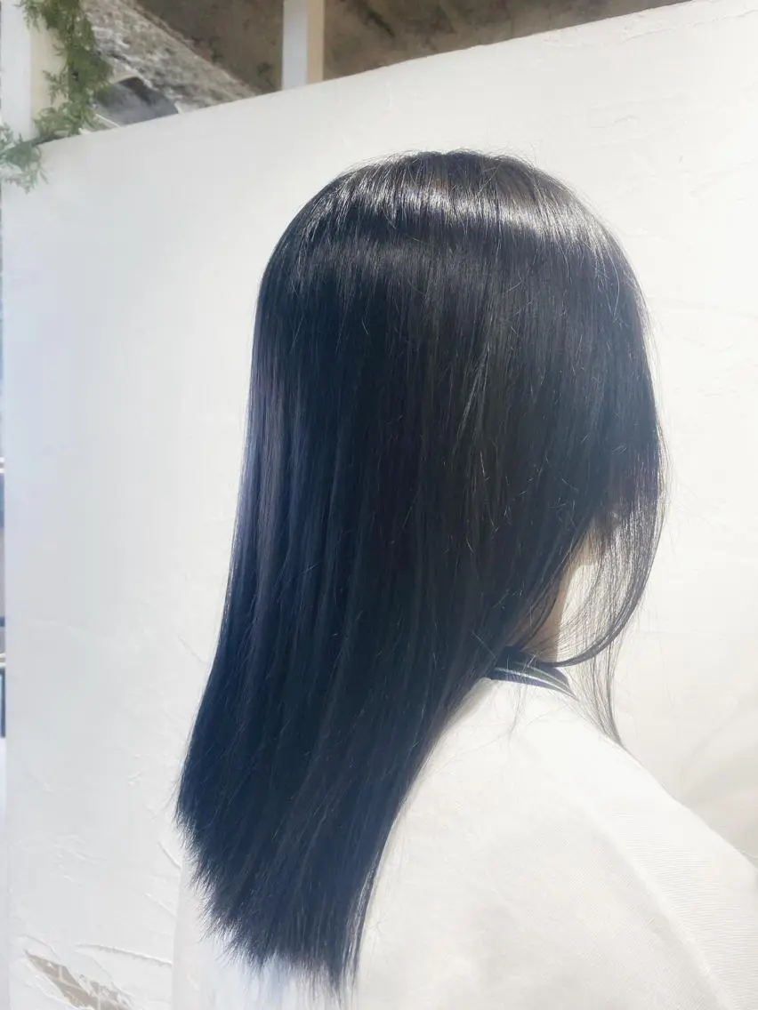 セミロング カラー ヘアカラー トリートメント 🩶ナチュラル ハイトーン/はちすのヘアスタイル