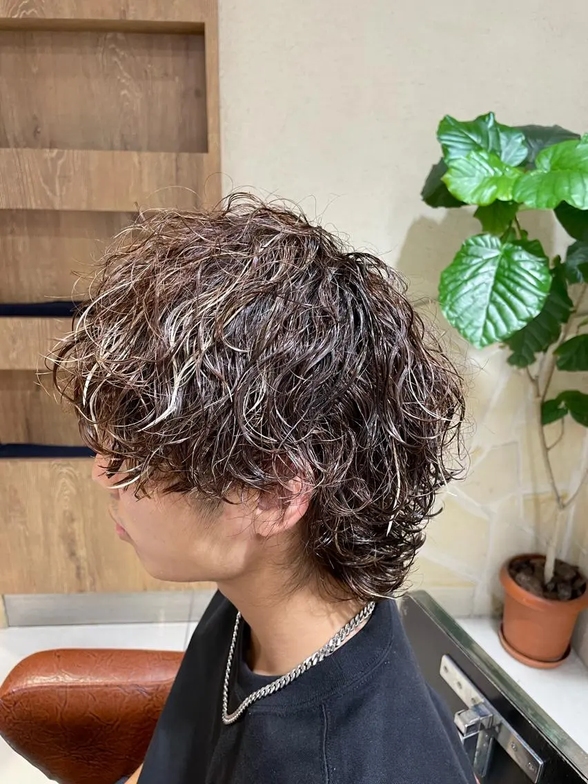 ショート カラー パーマ ウルフカット 新宿メンズパーマ特化 メンズバレイヤージュのヘアスタイル