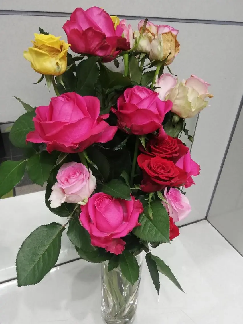 完全個室サロン🌹 angelux🌹のマツエク・マツパデザイン