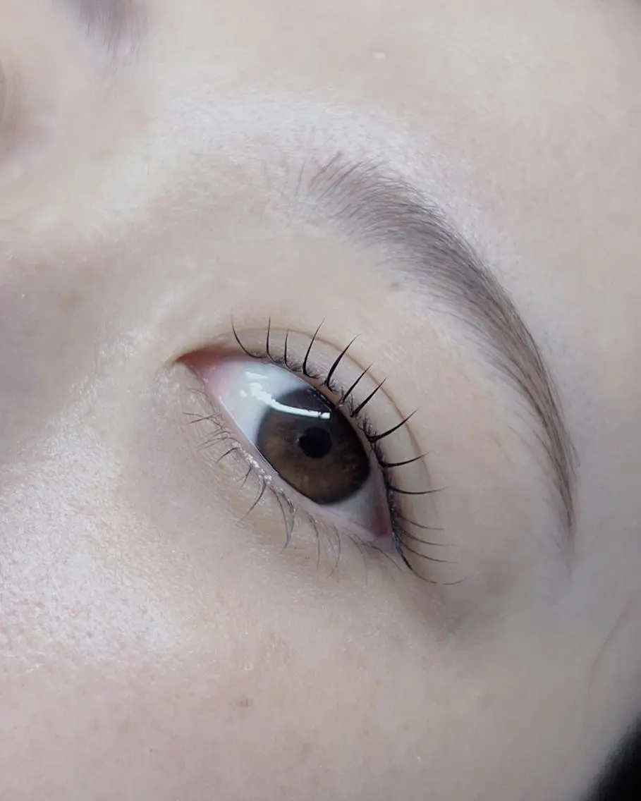 マツエク・マツパ マツパ lieu pré eyelashの眉毛・アイブロウイメージ