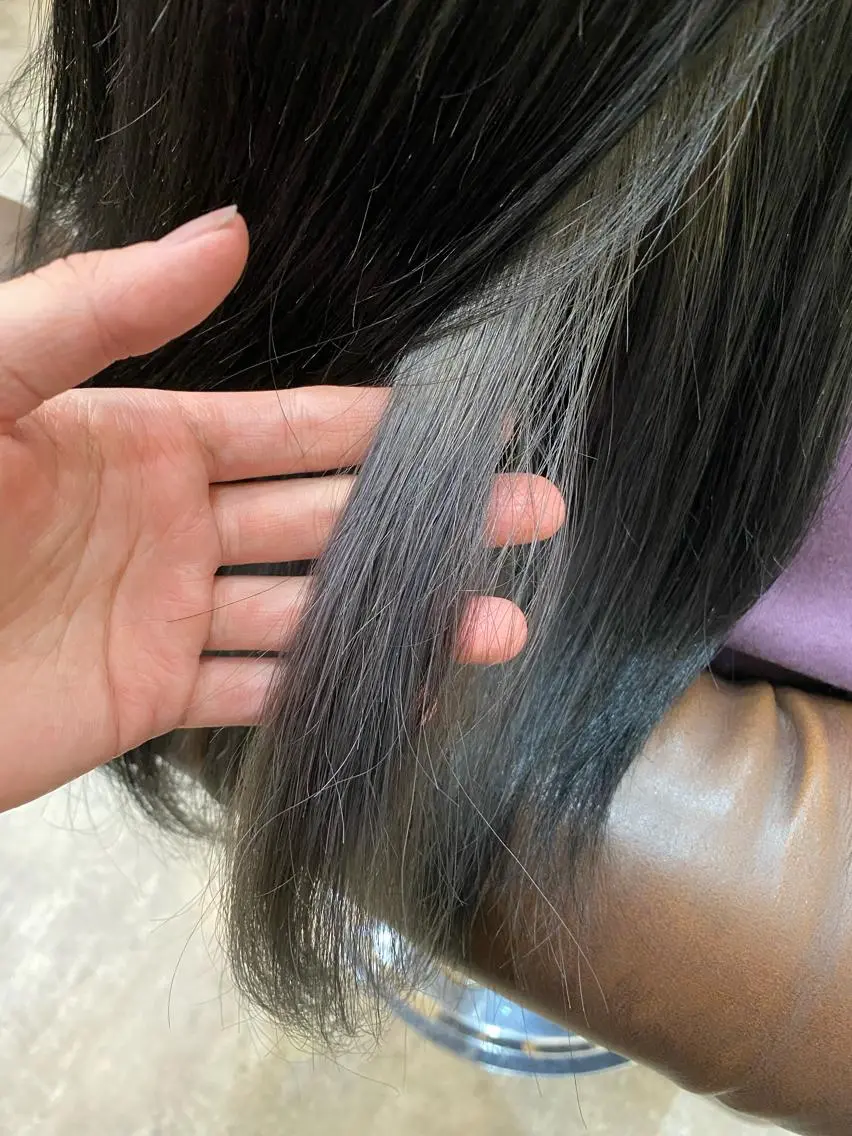 ロング カラー 黒髪 ブルーカラー ブルーブラック シルバー 🟢NEGi🟣 🫧髪質改善のヘアスタイル
