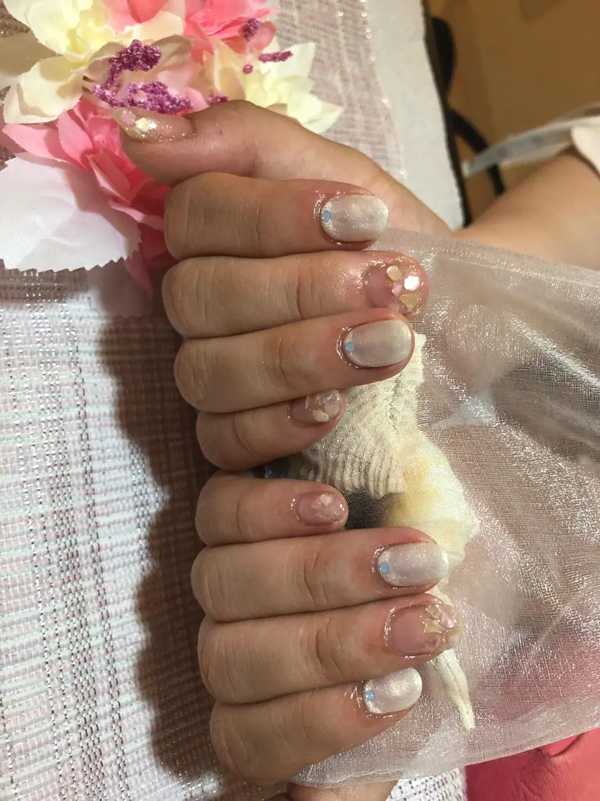 ネイル プライベートサロン HA♥NAのマツエク・マツパデザイン