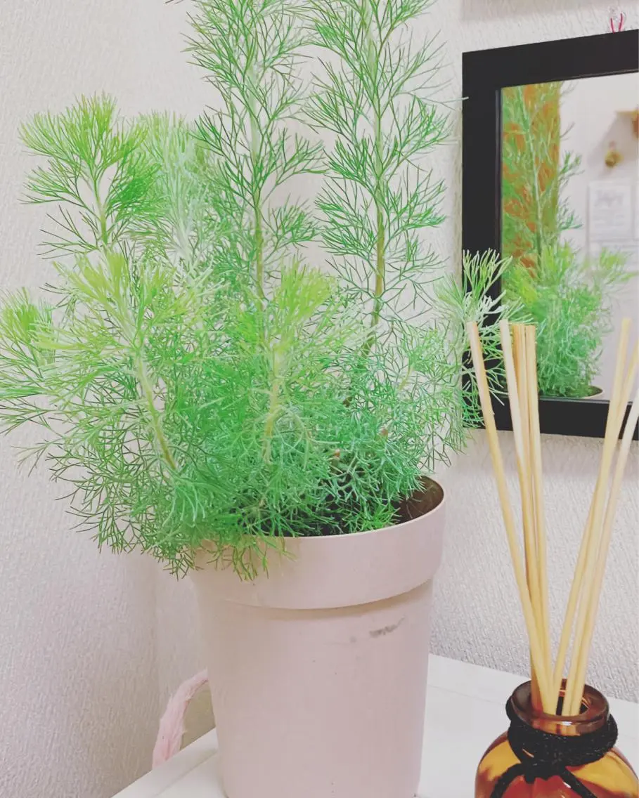 メナード熊本 嘉島のその他イメージ