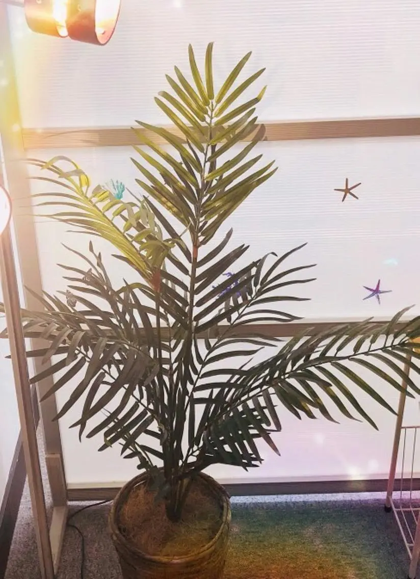 MAILE銀座 KAORI🌴🧡のエステ・リラクイメージ