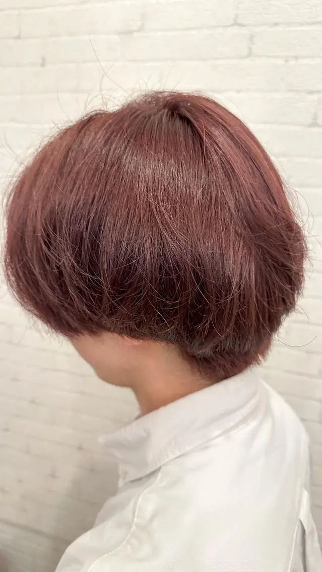 ショート カラー イルミナカラー 🐰ハイトーンカラー 畠山　渡🐰のヘアスタイル
