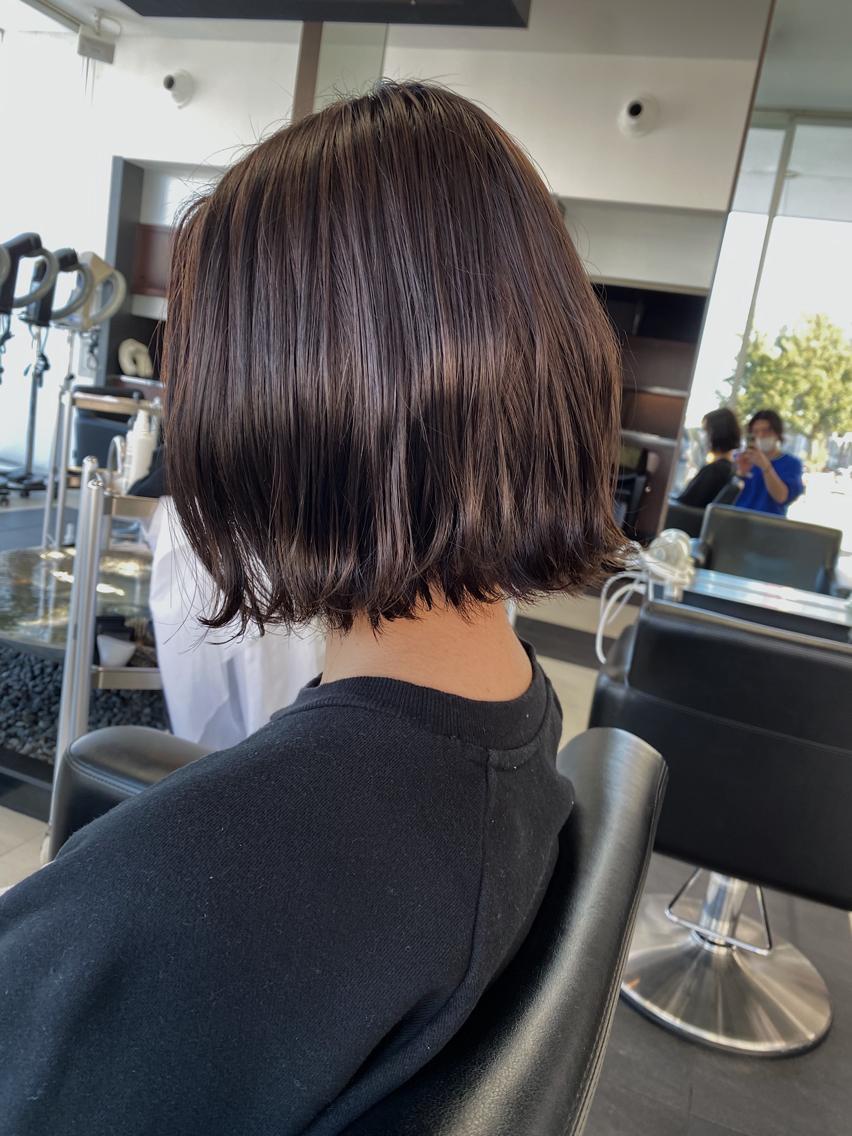 ミディアム カラー 横地 凌のヘアスタイル