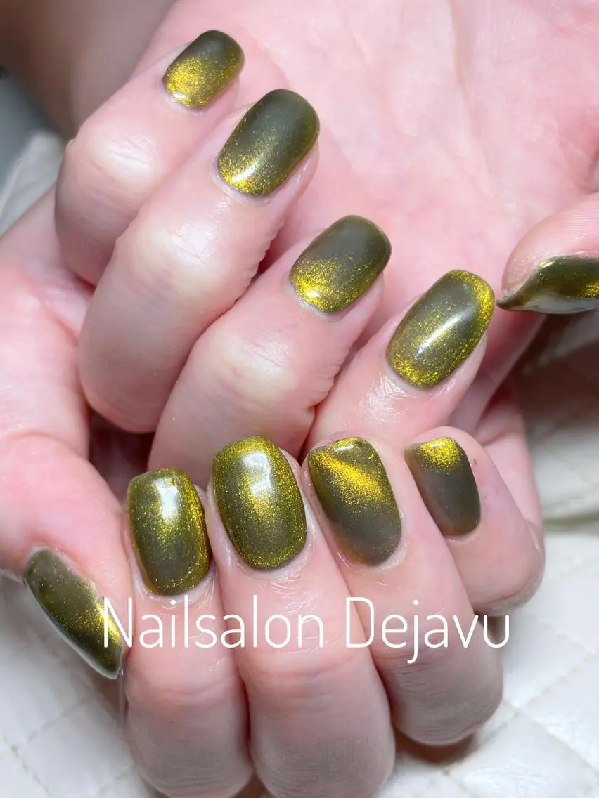 ネイル アートネイル ラメ(グリッター) マグネットネイル ワンカラーネイル ハンドネイル Nail salon Dejavu 🌿のネイルデザイン