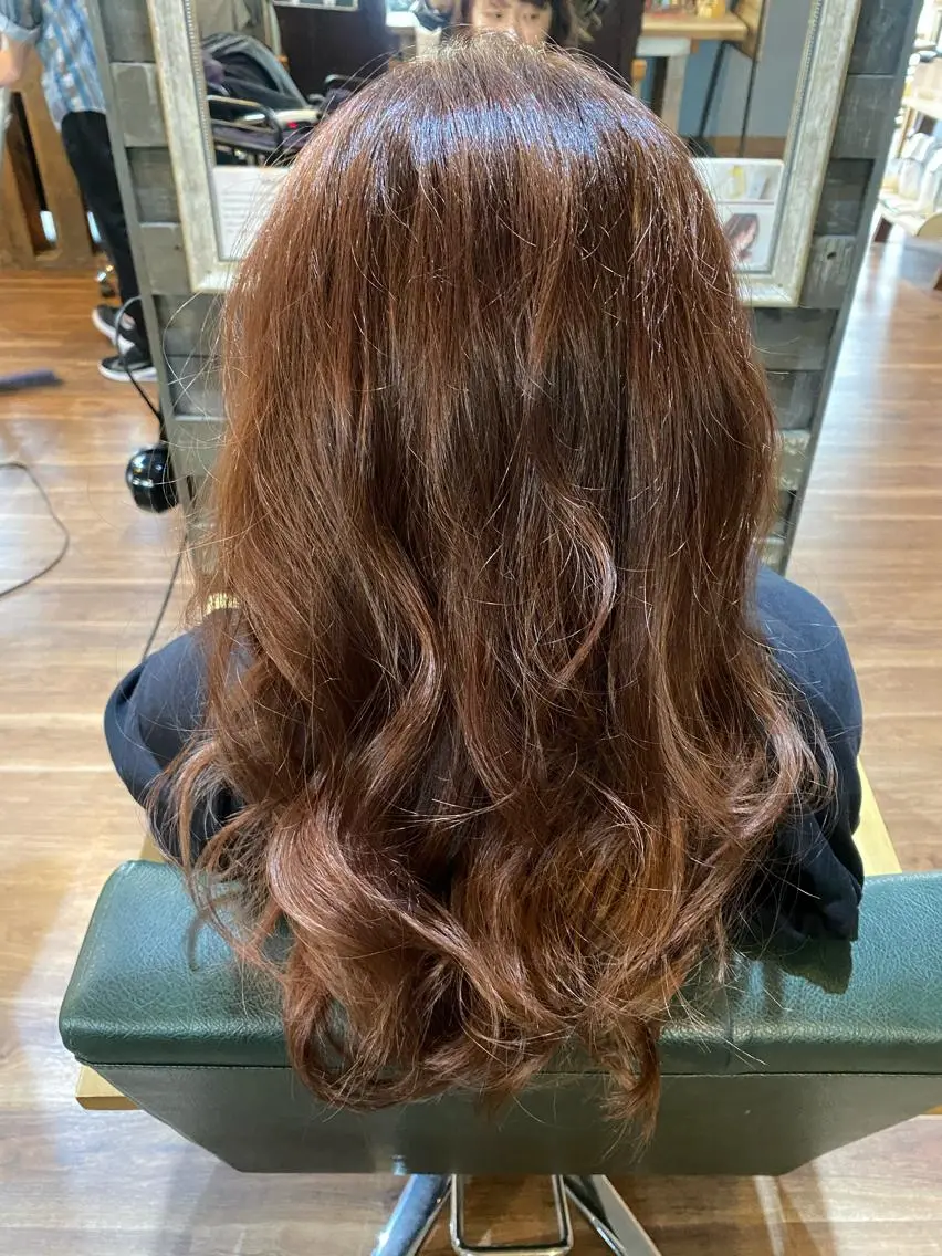 ロング カラー ブリーチ ブラウンカラー ハイライト/インナー /ブリーチ/レイヤーのヘアスタイル