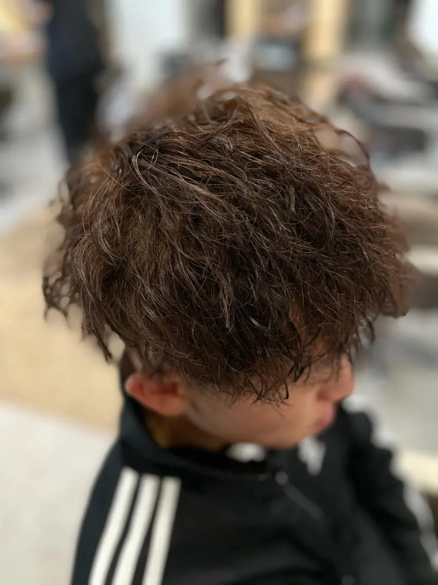 ショート カラー パーマ メンズ カット パーマ 星 翔のヘアスタイル