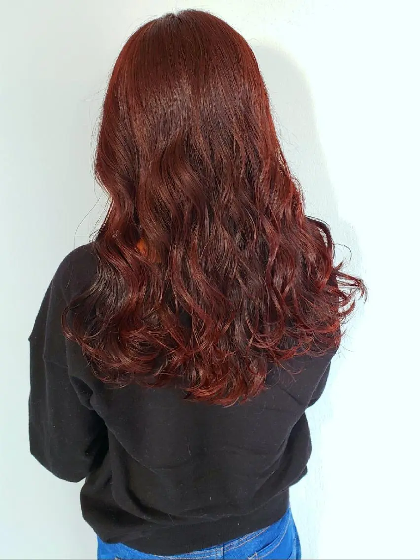 ロング カラー ヘアアレンジ ブラウンカラー レッドカラー レッドブラウン 成瀬 弘光のヘアスタイル