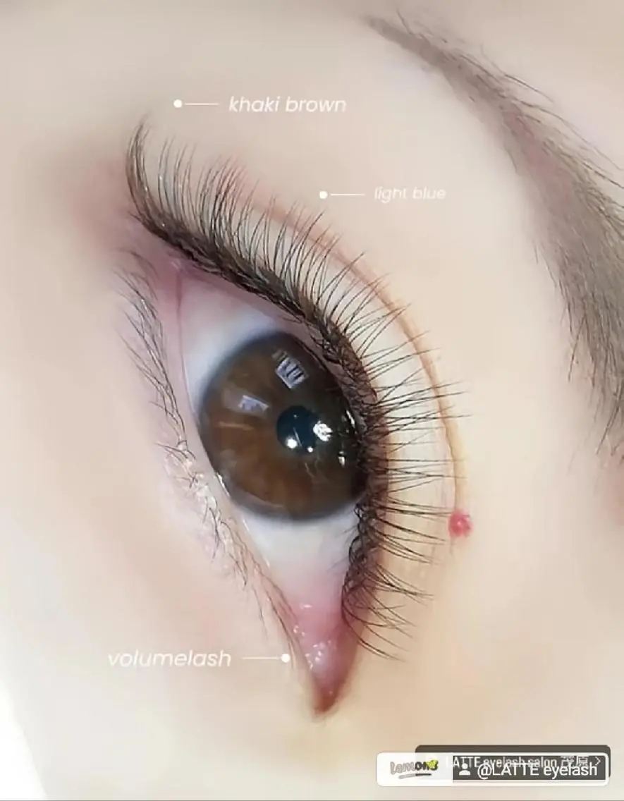 マツエク・マツパ LATTE eyelashのマツエク・マツパデザイン