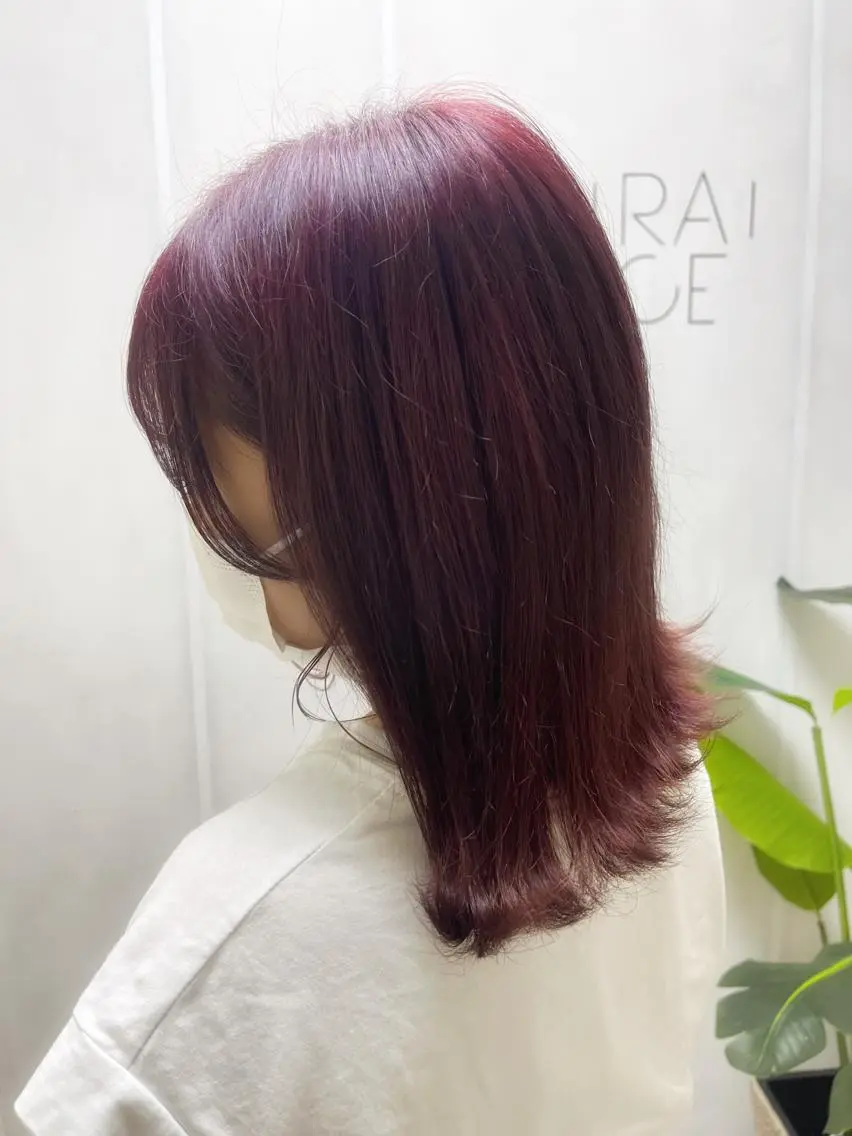 セミロング カラー ラベンダーカラー ラベンダーピンク ピンクカラー ヘアカラー トリートメント 🟢NEGi🟣 🫧髪質改善のヘアスタイル