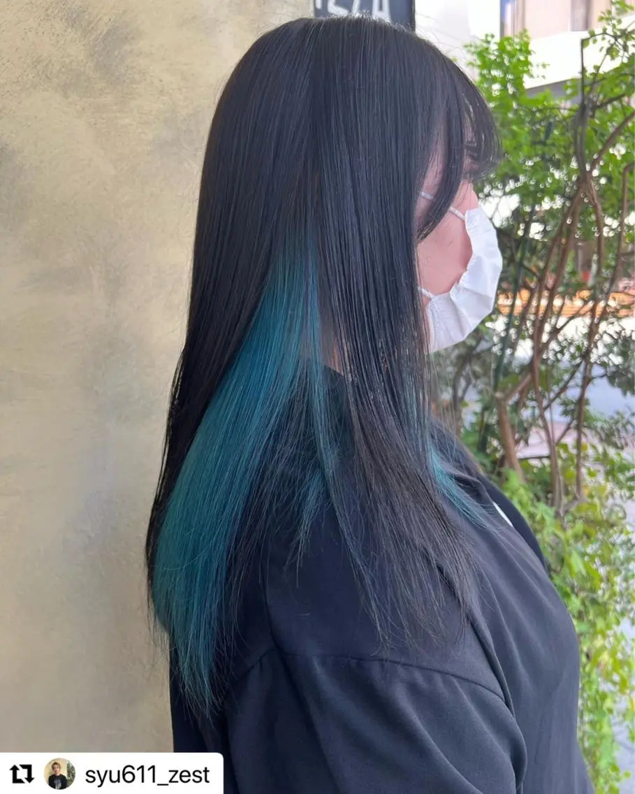 ロング カラー 黒髪 ブルーカラー ブルーブラック ハイトーンカラー インナーカラー 🦋sana🦋 似合わせカット✁のヘアスタイル
