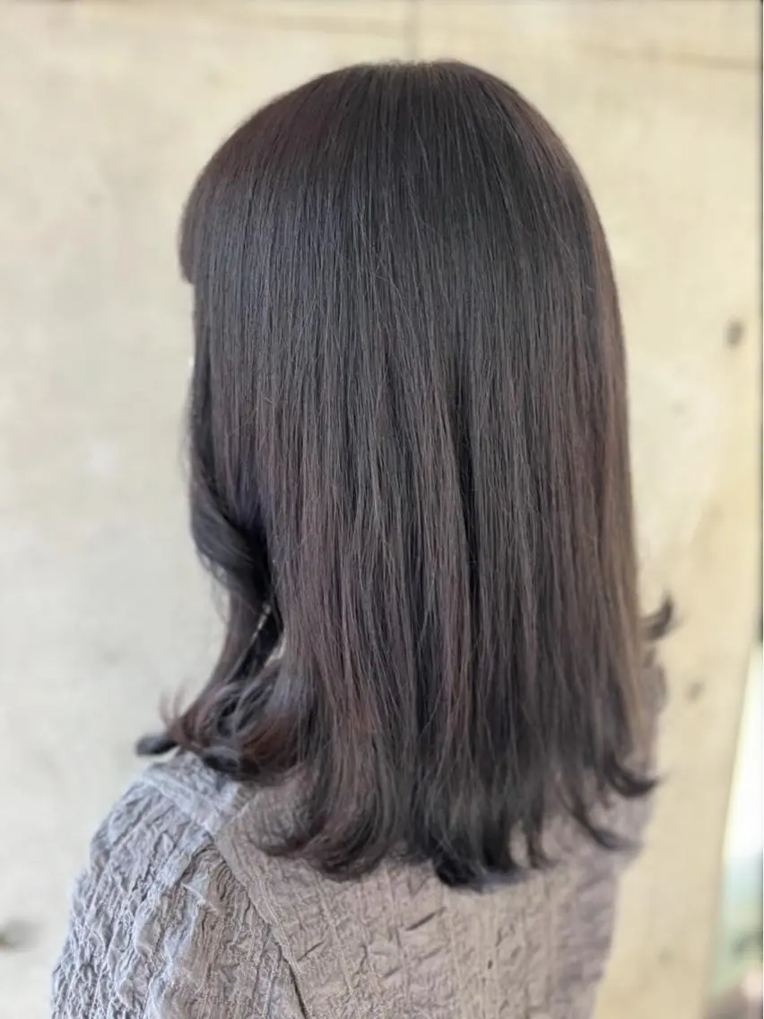セミロング カラー 黒髪 パープルカラー 銀座/カラー 🎀momo🎀のヘアスタイル