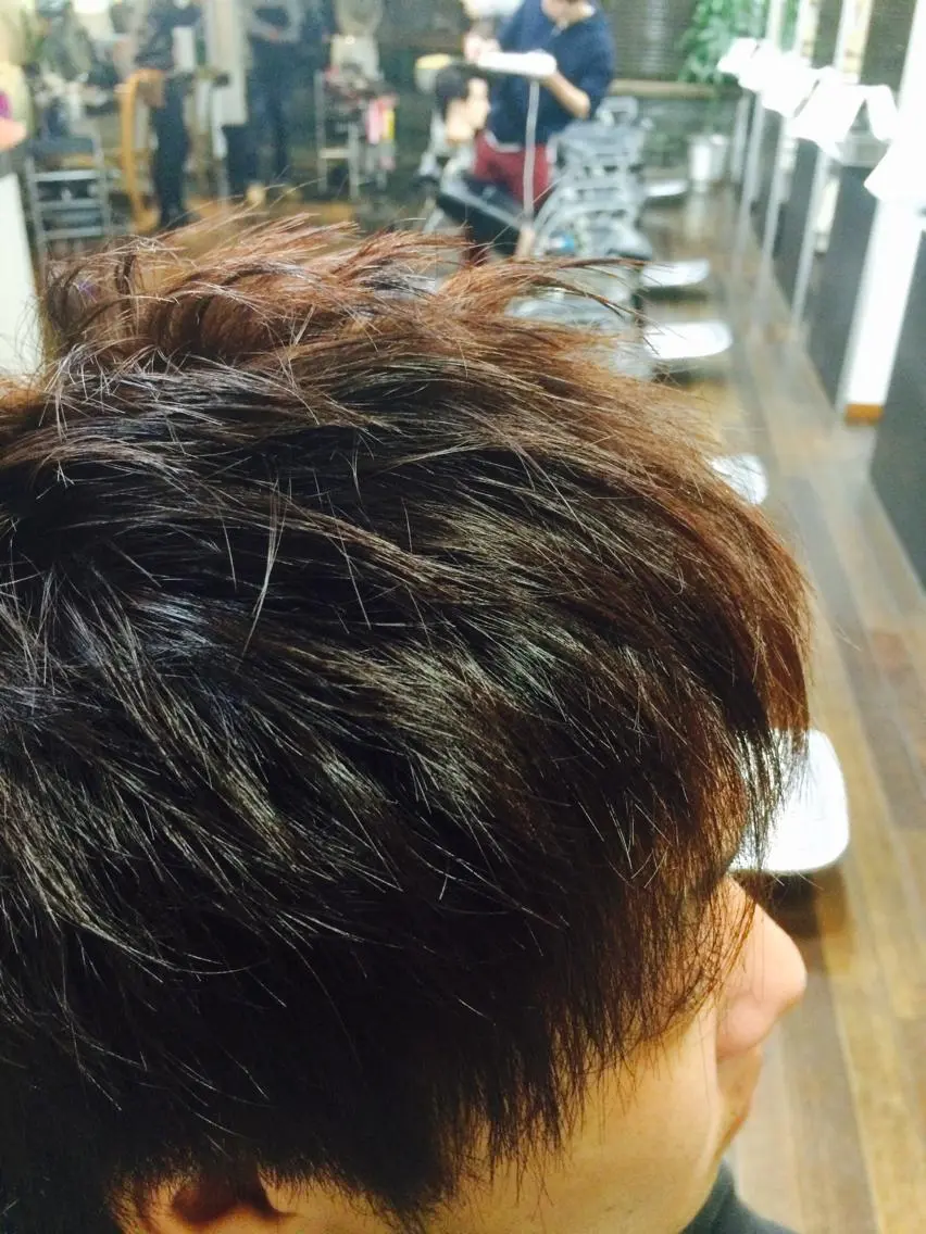 カラー 向井 優汰のヘアスタイル