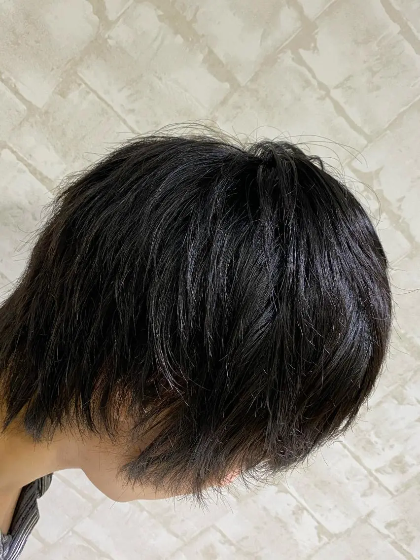 メンズ メンズウルフカット ウルフカット アイリスト 蓑島伶奈の眉毛・アイブロウイメージ