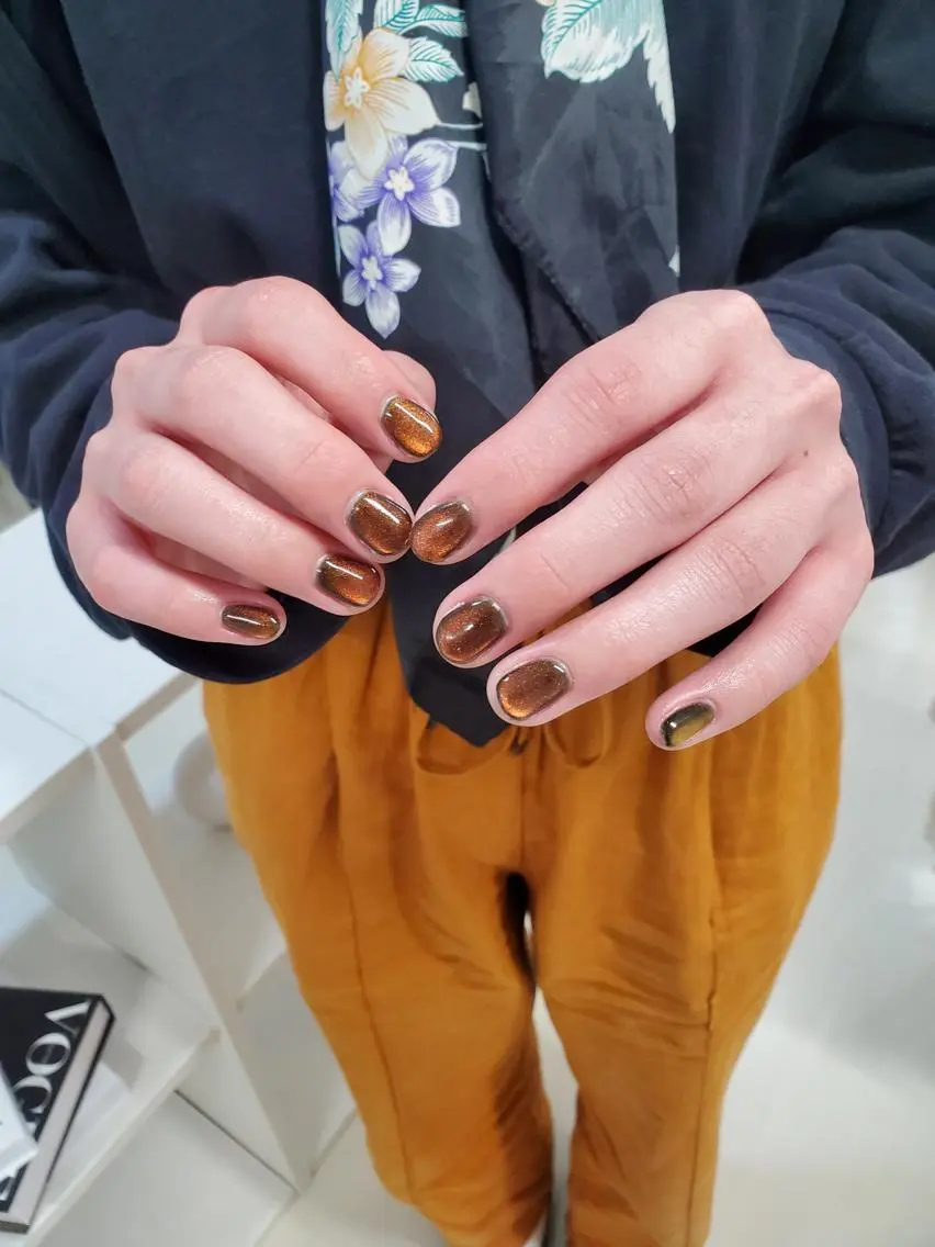 ネイル アートネイル ブラウン ジェルネイル マグネットネイル ニュアンスネイル nailstudio eviz新宿店のネイルデザイン
