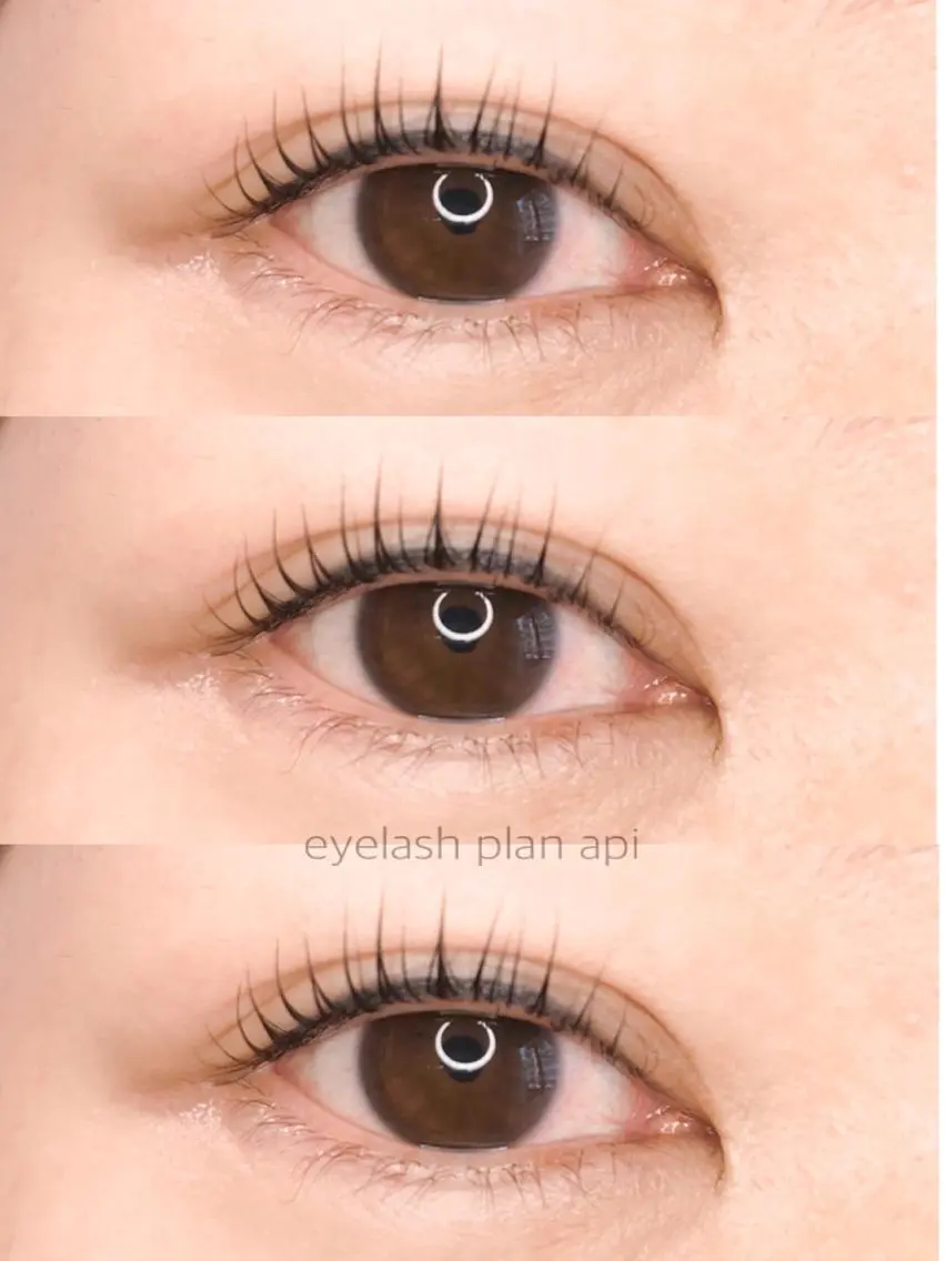 マツエク・マツパ 《eyelash ｉｉｔｅ》森のマツエク・マツパデザイン