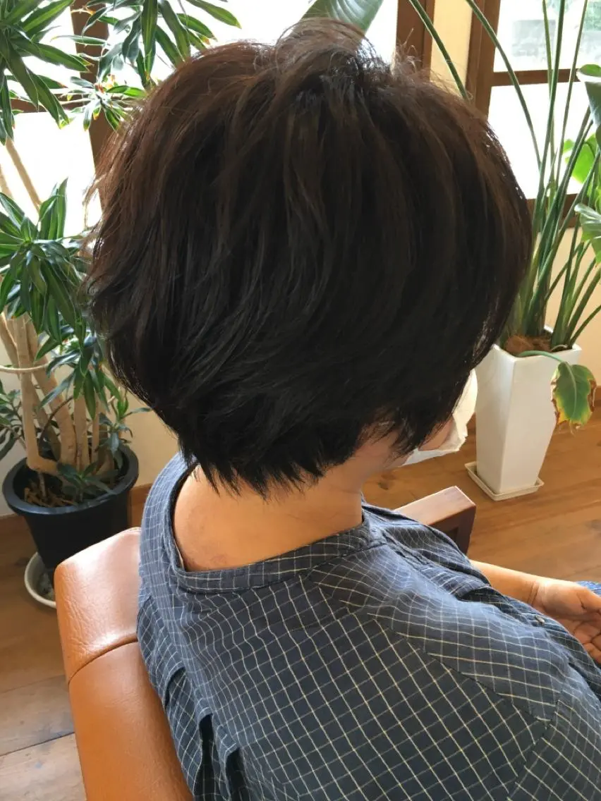 ショート 井上 真利のヘアスタイル