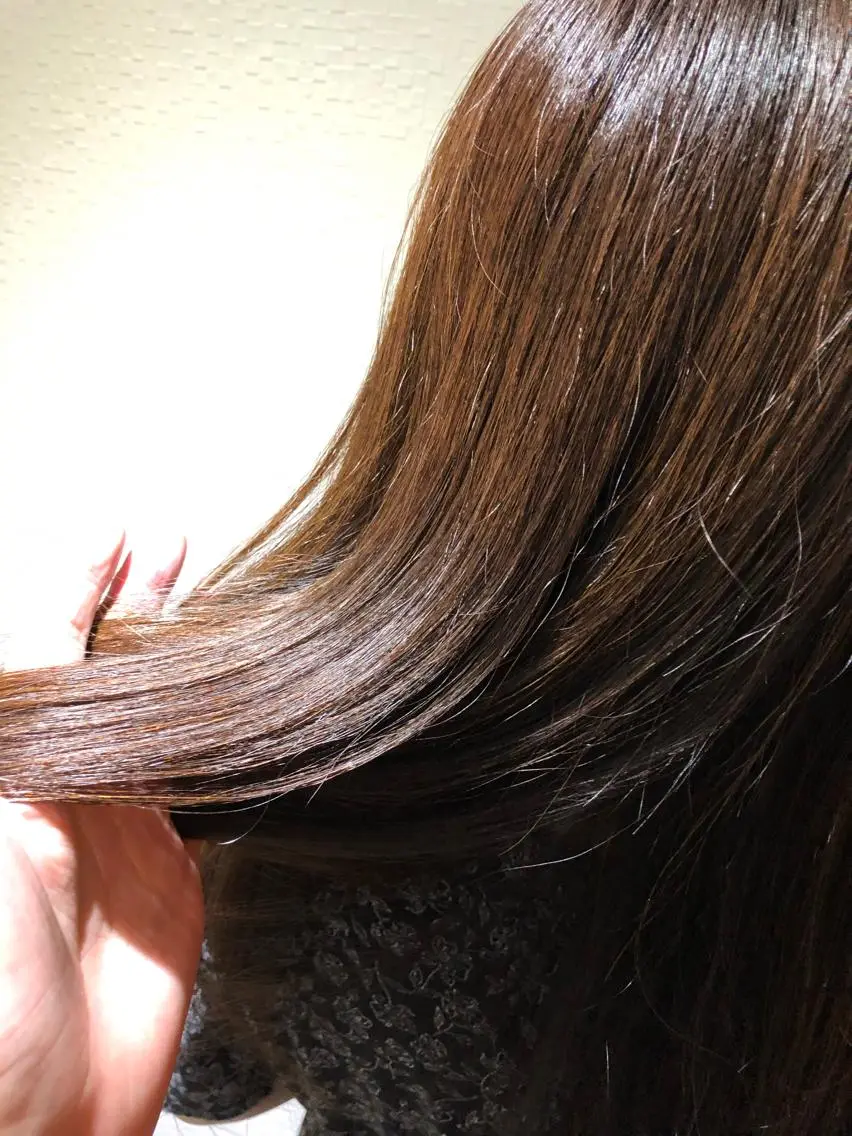 ミディアム トリートメント terra✨佐伯 晋吾のヘアスタイル