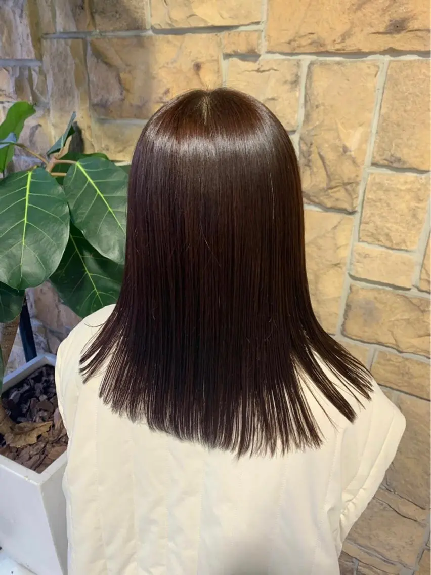 セミロング 🎀レイヤー/ カラー🐕🦺anのヘアスタイル