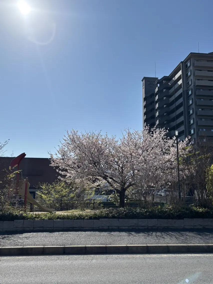 エステ リラク 鈴木 愛花のエステ・リラクイメージ