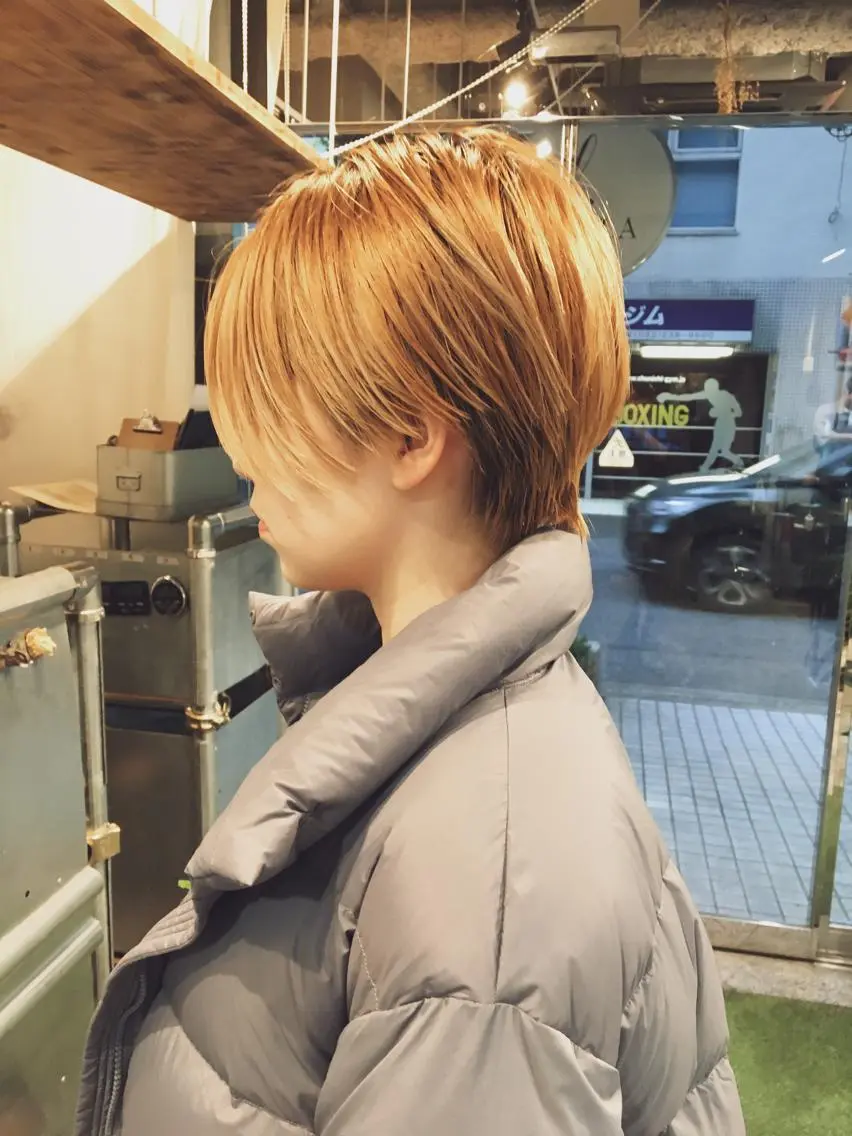 ショート カラー ハンサムショート アッシュ ベージュカラー ショートヘア ハイトーン/レイヤー /ウルフ⭐️永田⭐️のヘアスタイル