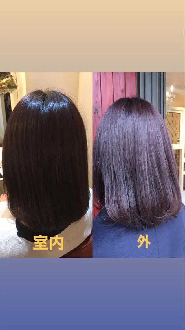 ミディアム カラー バイオレットカラー plaatje 義見のヘアスタイル