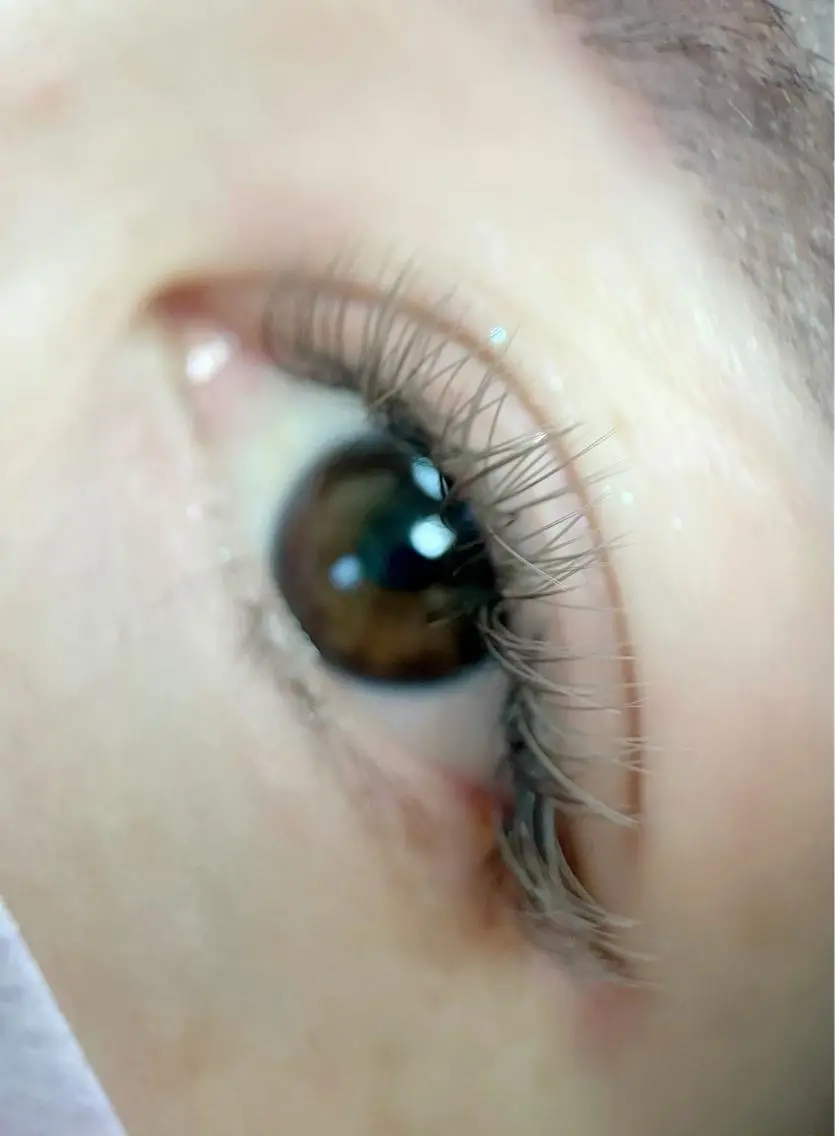 マツエク・マツパ Cカール カラーマツエク フラットラッシュ chuna eyelashのマツエク・マツパデザイン