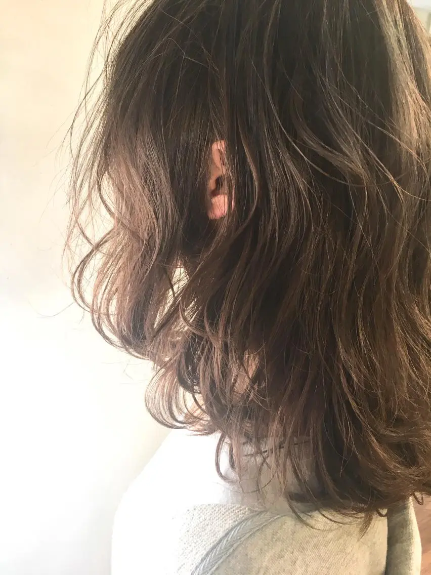 セミロング 中園 祥吾のヘアスタイル
