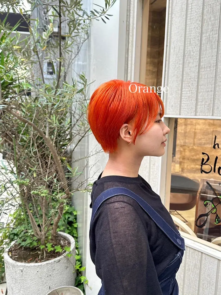 ショート カラー ブリーチ ダブルカラー グラデーションカラー ハイライトカラー インナーカラー Blanco Color&Careのヘアスタイル