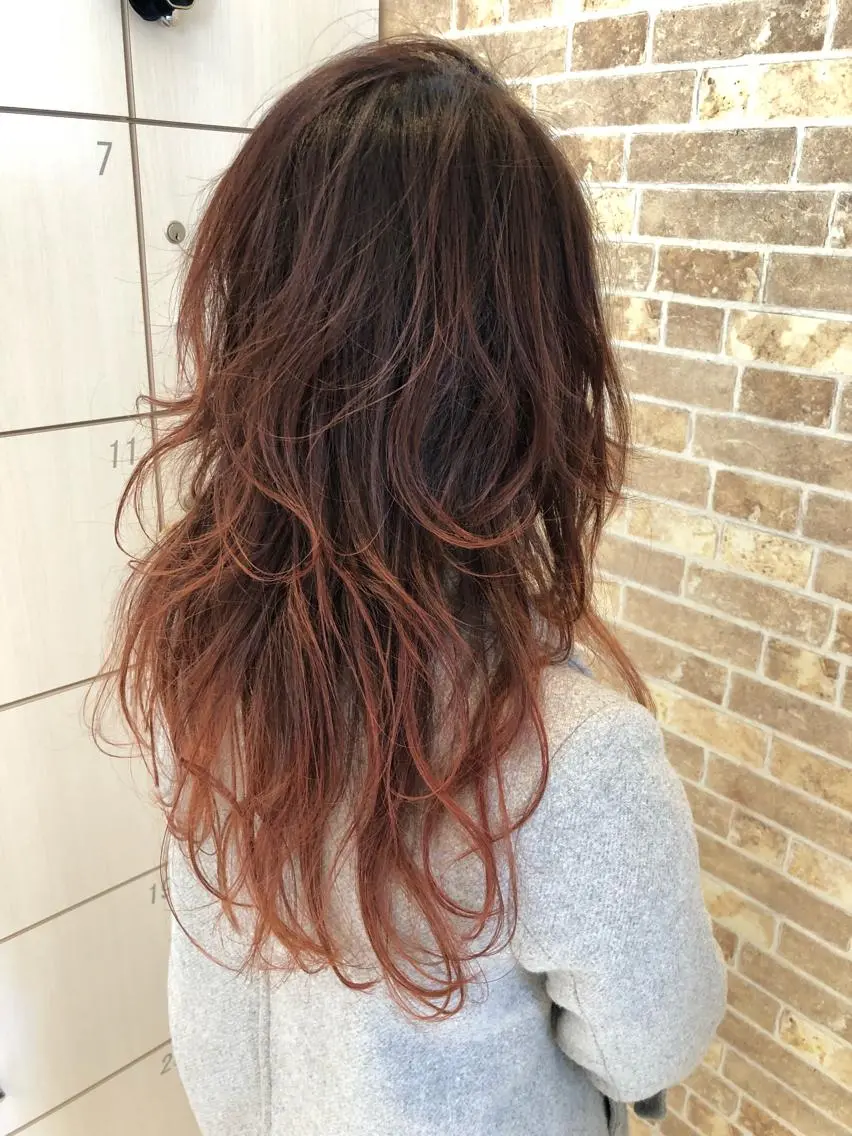 ロング ハイライト 福元 保雄のヘアスタイル